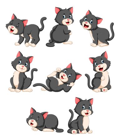 Collection of cute cat with various posingの写真素材