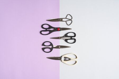 Set of scissors on a duotone background. kitchen, style.の写真素材