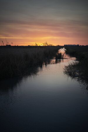 Breathtaking shot of a spanish polder in a field and the rising sun in the background, verticalの写真素材