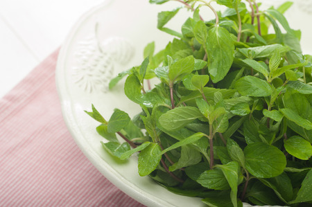 Close up of mint leaves in a bowlの写真素材