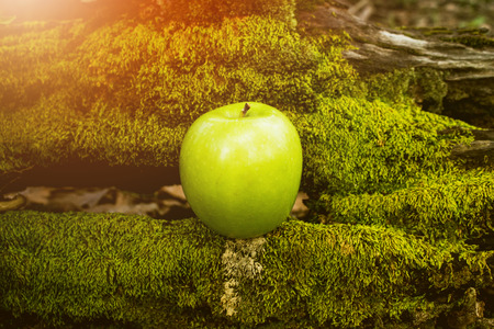 Apple Fruit, Wooden Tableの写真素材