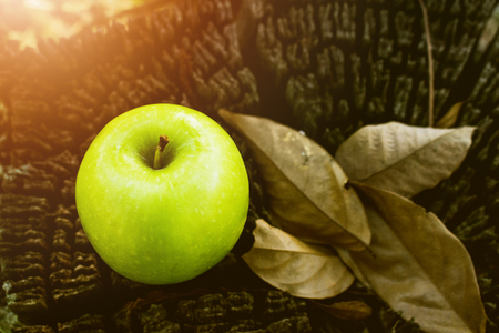 Apple Fruit, Wooden Tableの写真素材