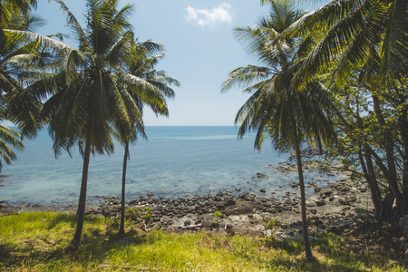 Coconut Tree, Granite Rock, Clear Sea Water and Tropical Beach Landscapeの写真素材