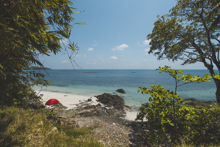 Tropical Tree, Granite Rock, Clear Sea Water and Tropical Beach Landscapeの写真素材