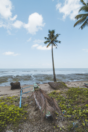 Coconut or Palm Tree, Traditional Wooden Boat, Cloudy Sky and Tropical Mud Beachの写真素材