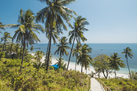 Coconut Tree, Granite Rock, Clear Sea Water and Tropical Beach Landscapeの写真素材