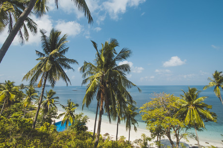 Coconut Tree, Clear Sea Water and Tropical Beach Landscapeの写真素材