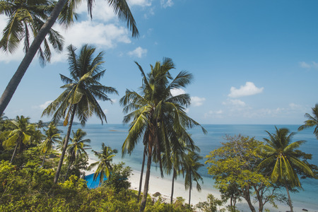 Coconut Tree, Blue Sea Water and Tropical Beach Landscape Category Landscapesの写真素材