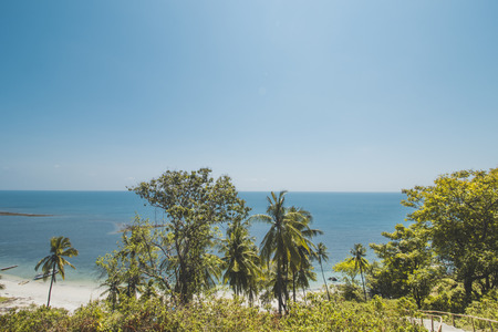 Tropical Tree, Blue Sea Water and Tropical Beach Landscape Category Landscapesの写真素材