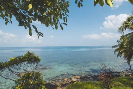 Tropical Tree, Blue Sea Water and Tropical Beach Landscape Category Landscapesの写真素材
