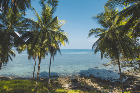 Coconut Tree, Blue Sea Water and Tropical Beach Landscape Category Landscapesの写真素材