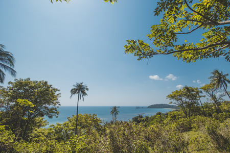 Tropical Tree, Blue Sea Water and Tropical Beach Landscape Category Landscapesの写真素材