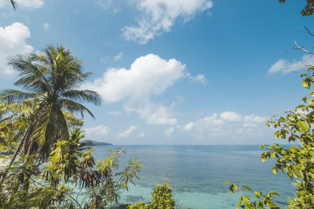 Coconut Tree, Clear Sea Water and Tropical Beach Landscapeの写真素材