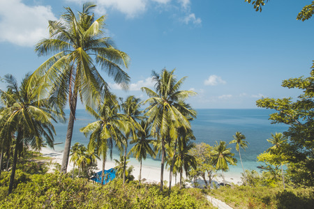 Coconut Tree, Clear Sea Water and Tropical Beach Landscapeの写真素材