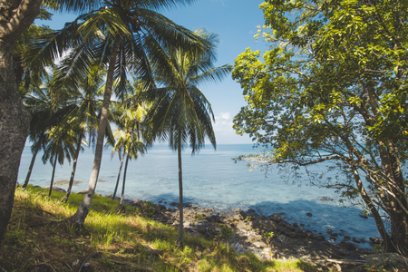 Coconut Tree, Granite Rock, Clear Sea Water and Tropical Beach Landscapeの写真素材