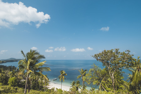 Coconut Tree, Clear Sea Water and Tropical Beach Landscapeの写真素材