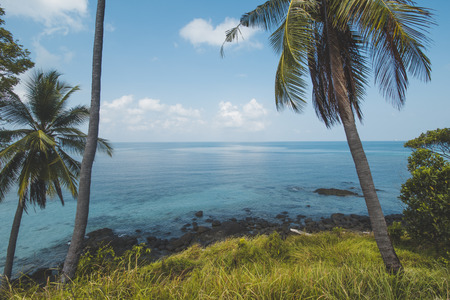 Coconut Tree, Granite Rock, Clear Sea Water and Tropical Beach Landscapeの写真素材