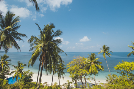 Coconut Tree, Clear Sea Water and Tropical Beach Landscapeの写真素材