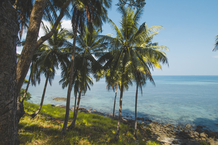 Coconut Tree, Granite Rock, Clear Sea Water and Tropical Beach Landscapeの写真素材