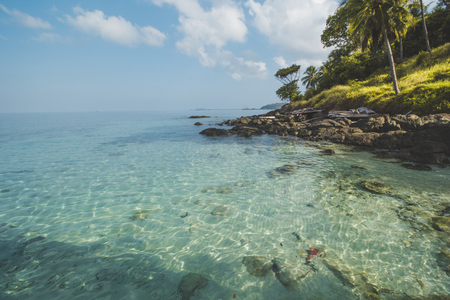 Coconut Tree, Granite Rock, Clear Sea Water and Tropical Beach Landscapeの写真素材