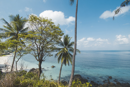 Coconut Tree, Granite Rock, Clear Sea Water and Tropical Beach Landscapeの写真素材