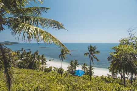 Coconut Tree, Granite Rock, Clear Sea Water and Tropical Beach Landscapeの写真素材
