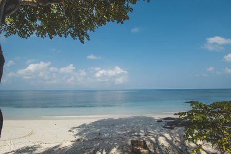 Tropical Tree, Clear Sea Water and Tropical Beach Landscapeの写真素材