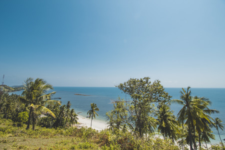 Beautiful Tropical Beach with Coconut Tree and Blue Skyの写真素材