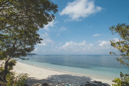 Tropical Tree, Clear Sea Water and Tropical Beach Landscapeの写真素材