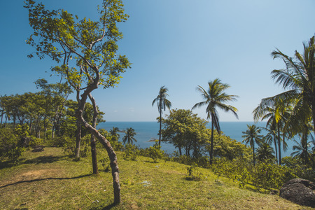 Coconut Tree, Blue Sea Water and Tropical Beach Landscapeの写真素材