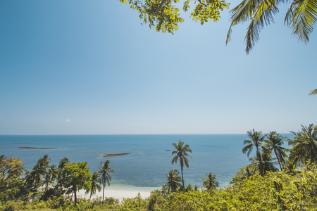 Coconut Tree, Blue Sea Water and Tropical Beach Landscapeの写真素材
