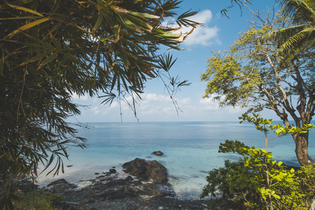 Coconut Tree, Granite Rock, Clear Sea Water and Tropical Beach Landscapeの写真素材