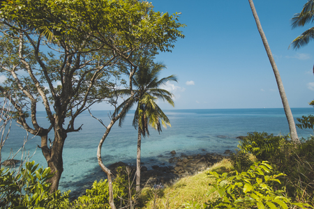 Coconut Tree, Granite Rock, Clear Sea Water and Tropical Beach Landscapeの写真素材