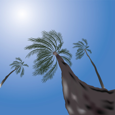 Tropical scene with palmsのイラスト素材