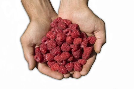Fresh raspberries in man hands の写真素材