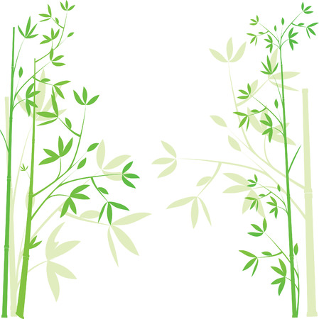 Green bamboo background isolated on white , vector illustration のイラスト素材