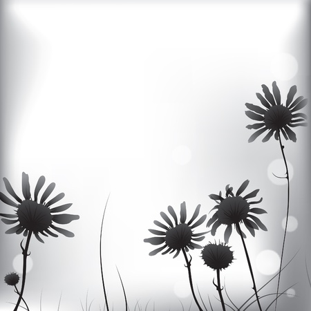 Floral background camomile flowerのイラスト素材