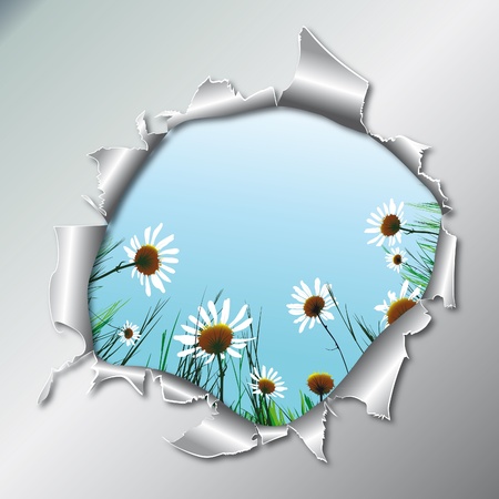 Floral background camomile flower in metallic hole. Vector illustration. EPS10のイラスト素材