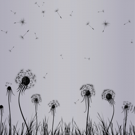 Dandelion wind in grass, flower vector. Abstract seamless vintage.Floral illustration.の写真素材