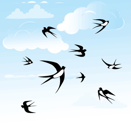 Bird swallow in blue sky seamless horizontal illustration posesのイラスト素材