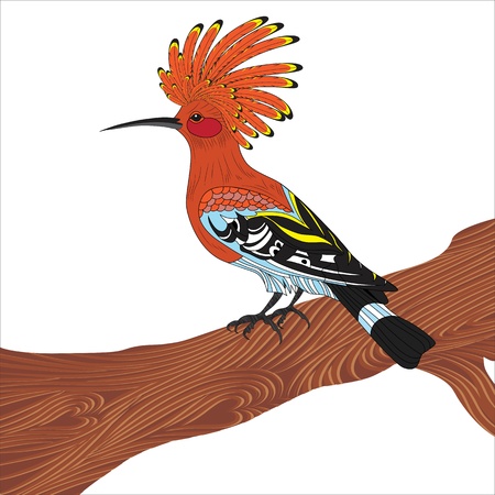 Bird hoopoe vector illustration, Eurasian Hoopoe (Upupa epops), back profile, standing on a branch, isolated on a white backgroundのイラスト素材