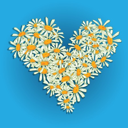 Heart flowers camomile illustration for Valentineのイラスト素材