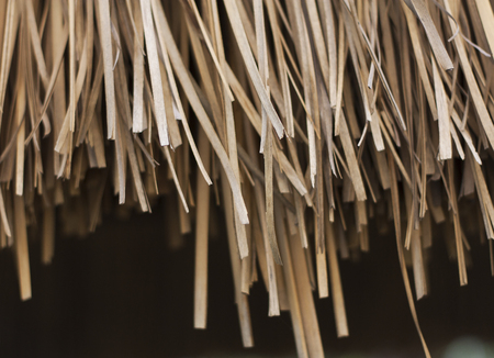 Close up straw background. Texture of straw photoの写真素材