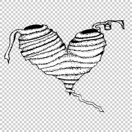 Mummy Illustration, Monochrome heart Hand Drawn Sketch, Halloween, valentines day love Isolated Vector illustrationのイラスト素材