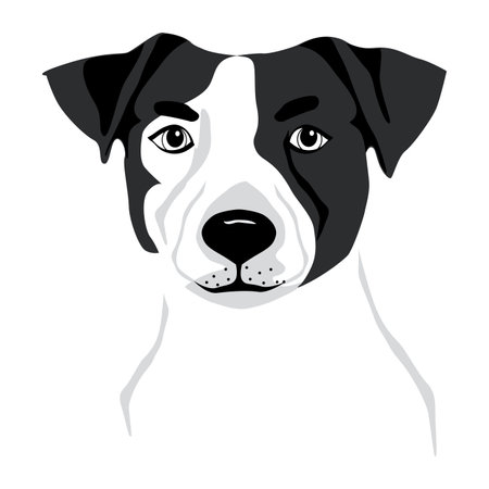 Jack Russell Terrier purebred puppy dog vector illustration tattooのイラスト素材