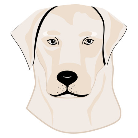 Labrador Retriever. Silhouette. Line art. Template. Close-up. Clip art. Hand Painting. Ink tattoo vectorのイラスト素材
