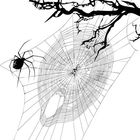Halloween tree branch and spider web. Vector illustration.のイラスト素材