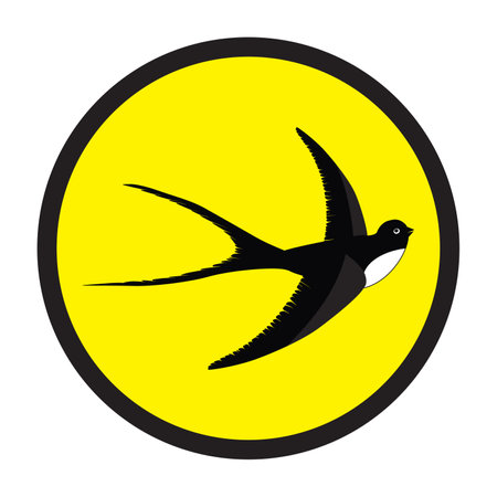 Swallow logo. Isolated swallow bird vector logotypeのイラスト素材