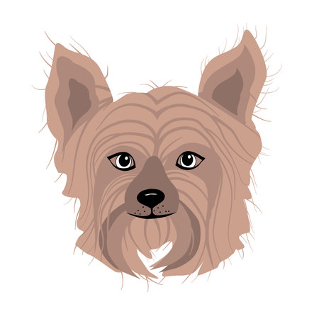 Vector art of adorable york puppies yorkshire terrier dog animalのイラスト素材