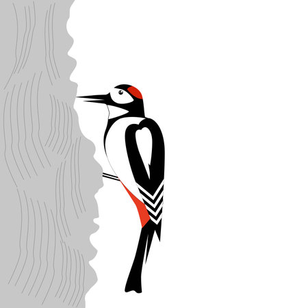 forest bird, woodpecker sitting on tree, cute woodland animal, cartoon, vector illustration isolated on white backgroundのイラスト素材